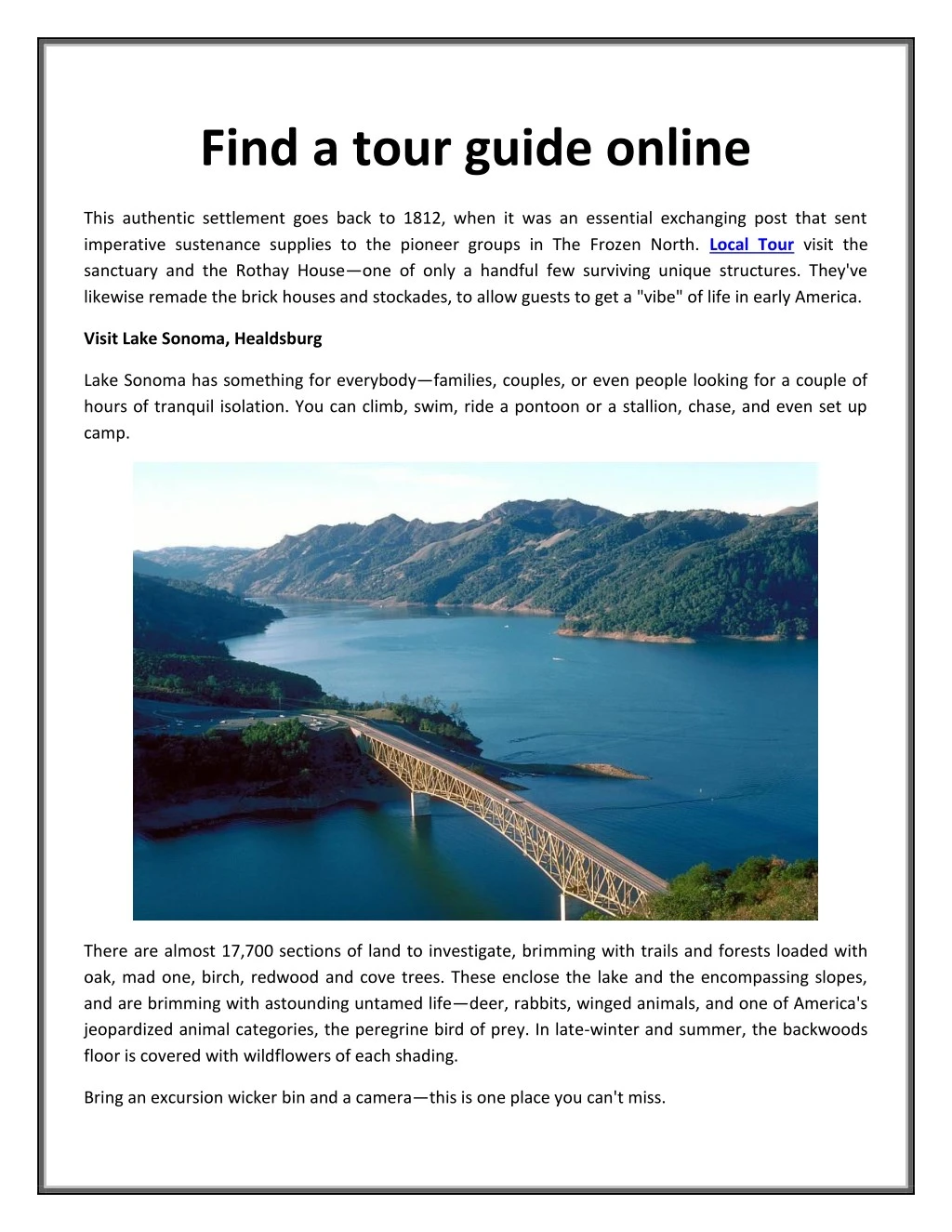 find a tour guide online