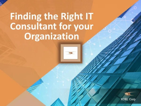 Finding the Right IT Consultant for your Organization