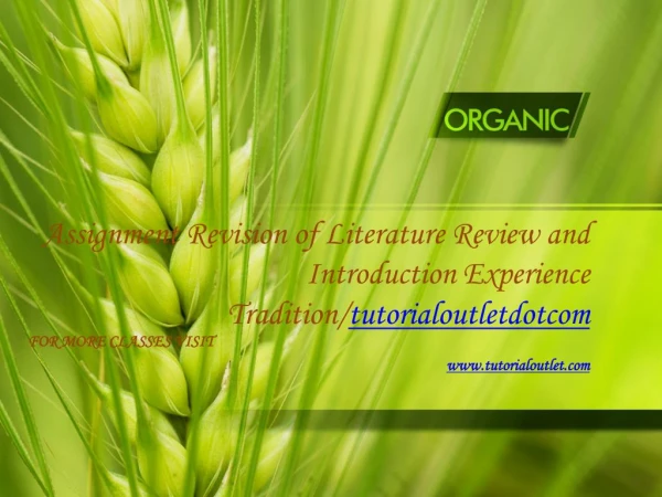 Assignment Revision of Literature Review and Introduction Experience Tradition/tutorialoutletdotcom