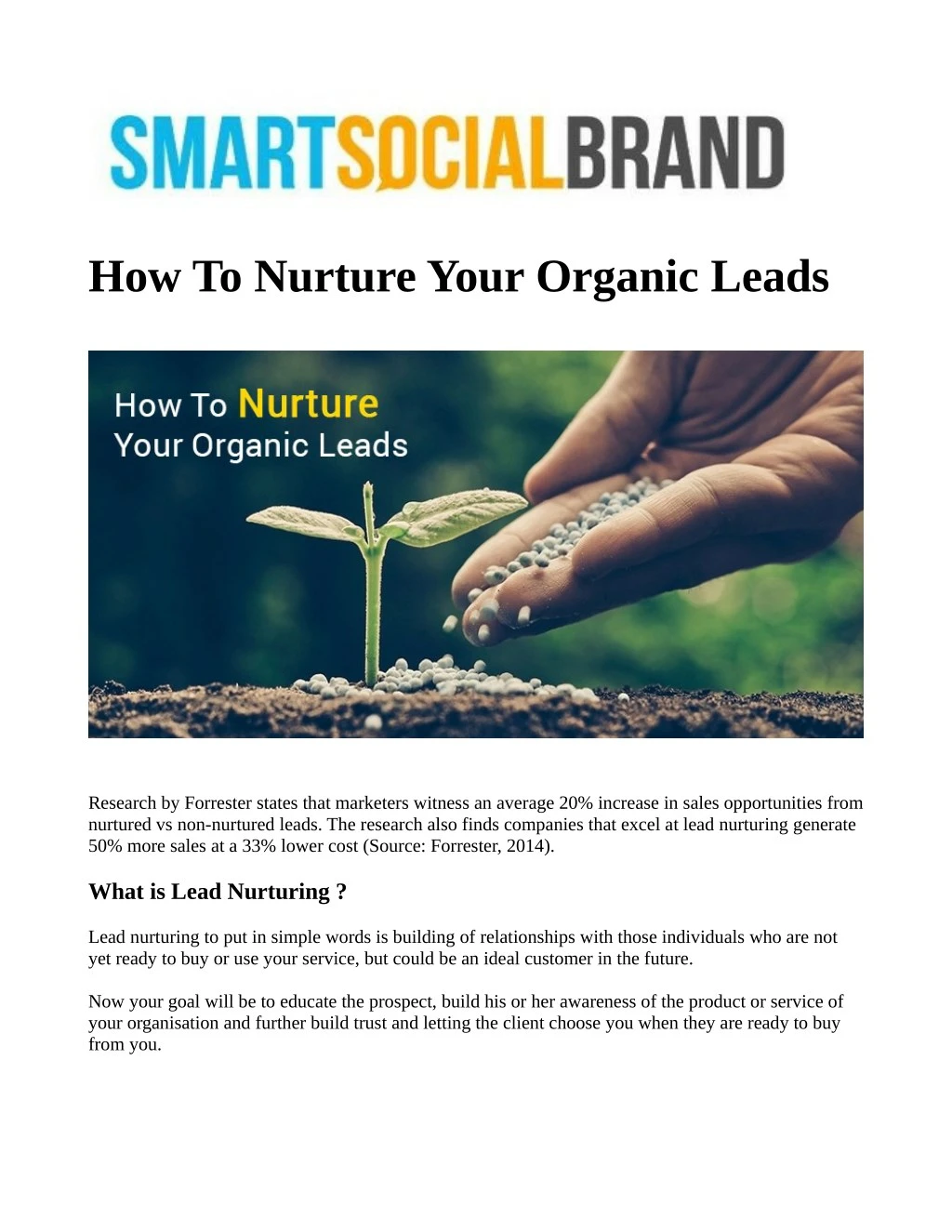 how to nurture your organic leads