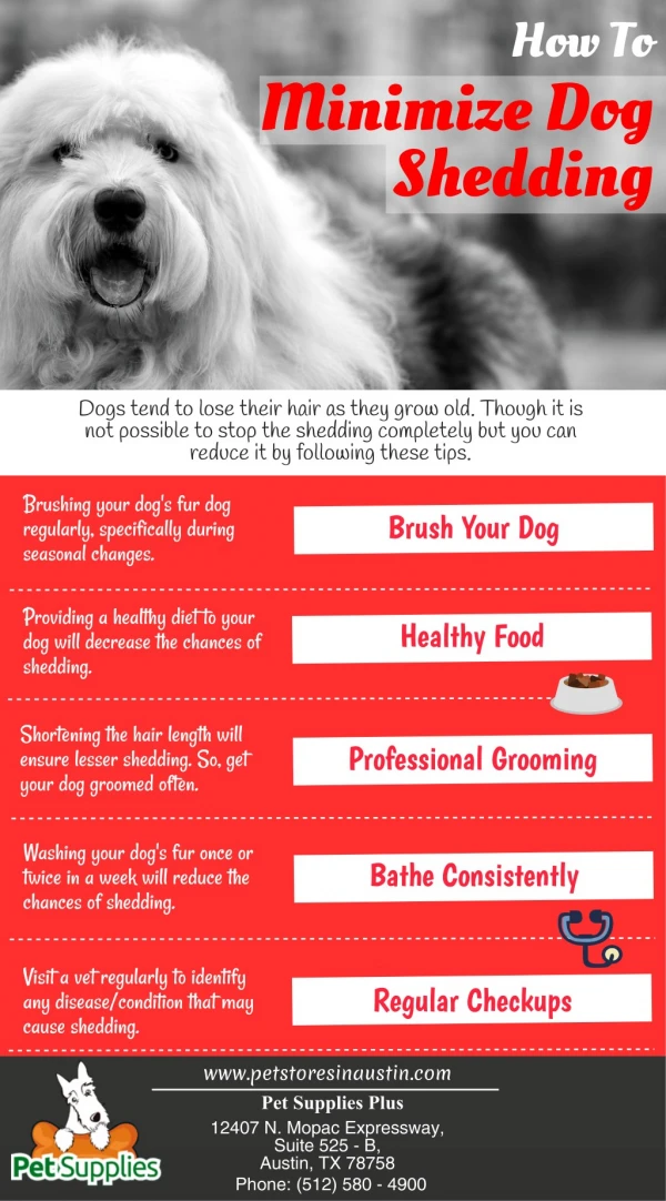 How To Minimize Dog Shedding