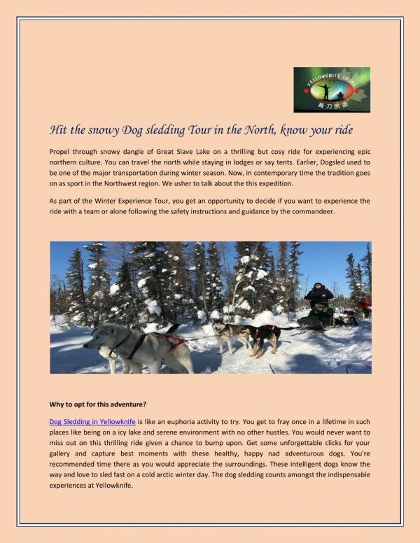 Hit the Snowy Dog Sledding Tour in The North, Know Your Ride