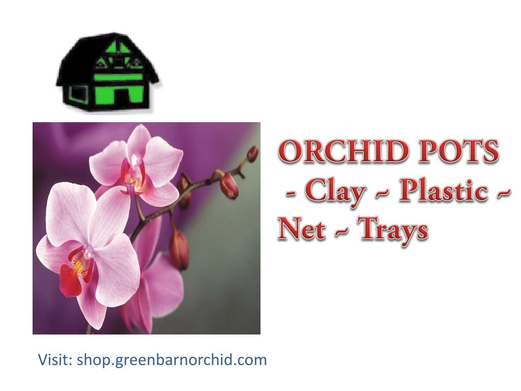 orchid pots clay plastic net trays