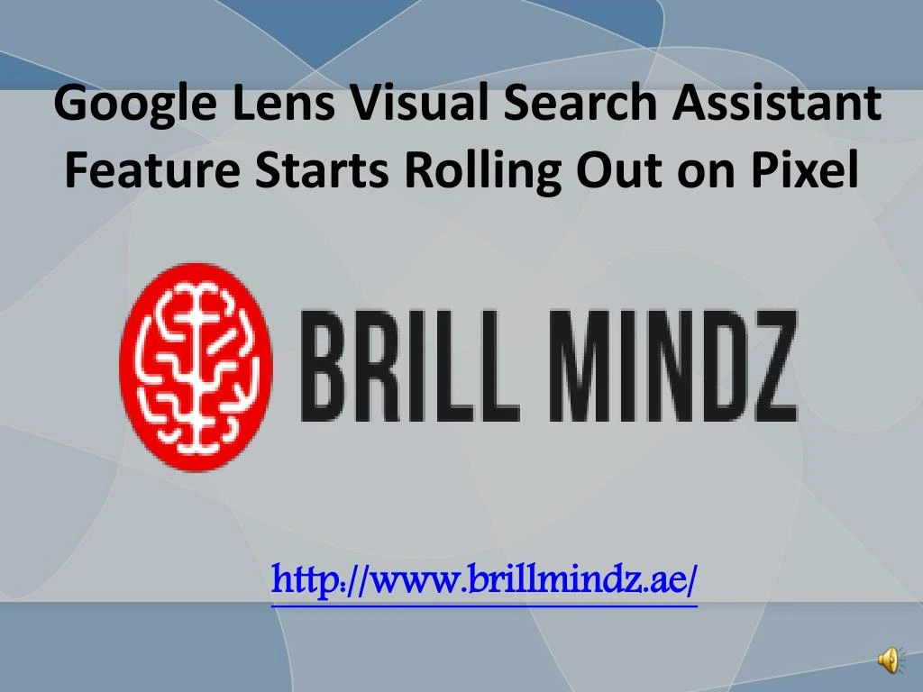 google lens visual search assistant feature starts rolling out on pixel