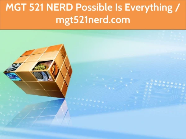 MGT 521 NERD Possible Is Everything / mgt521nerd.com