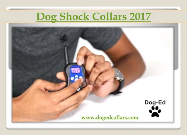 Dog shock collars 2017