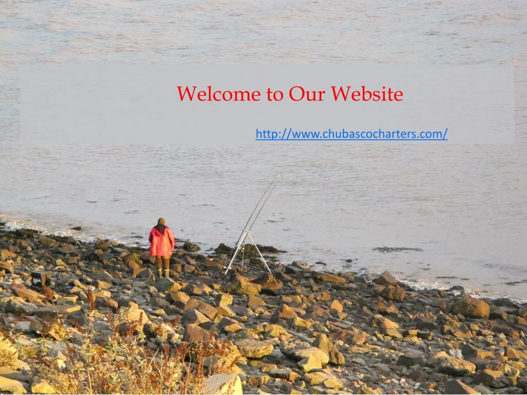 welcome to our website