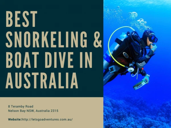 Best Snorkeling & Boat Dive in Australia