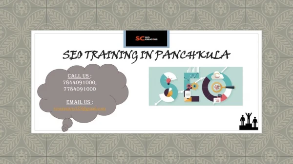 SEO Training in Panchkula