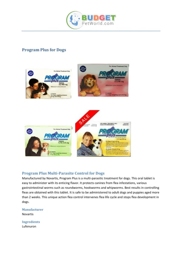 Program Plus for Dogs