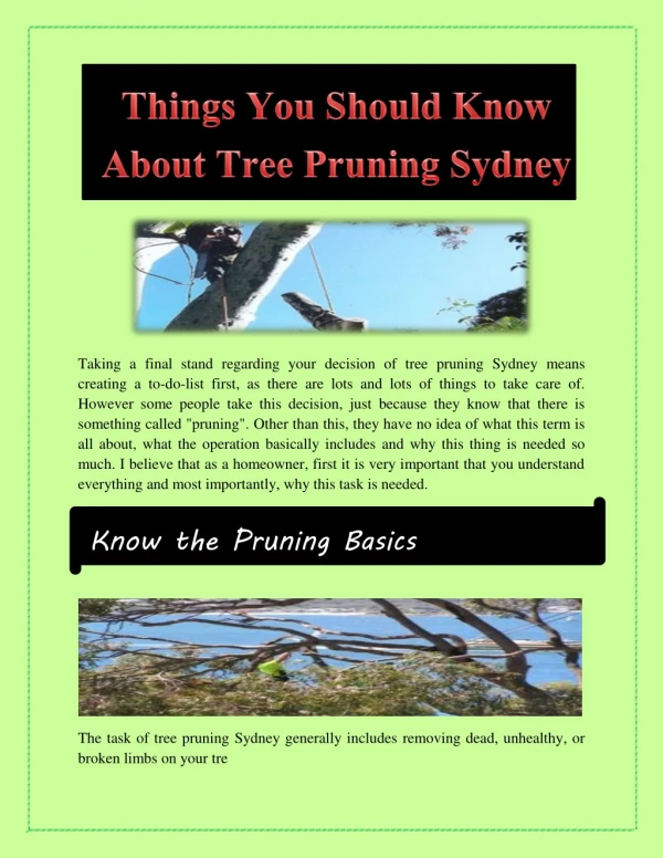 Things You Should Know About Tree Pruning Sydney