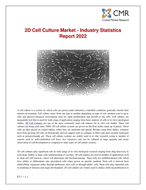2D Cell Culture Market - Industry Statistics Report 2022