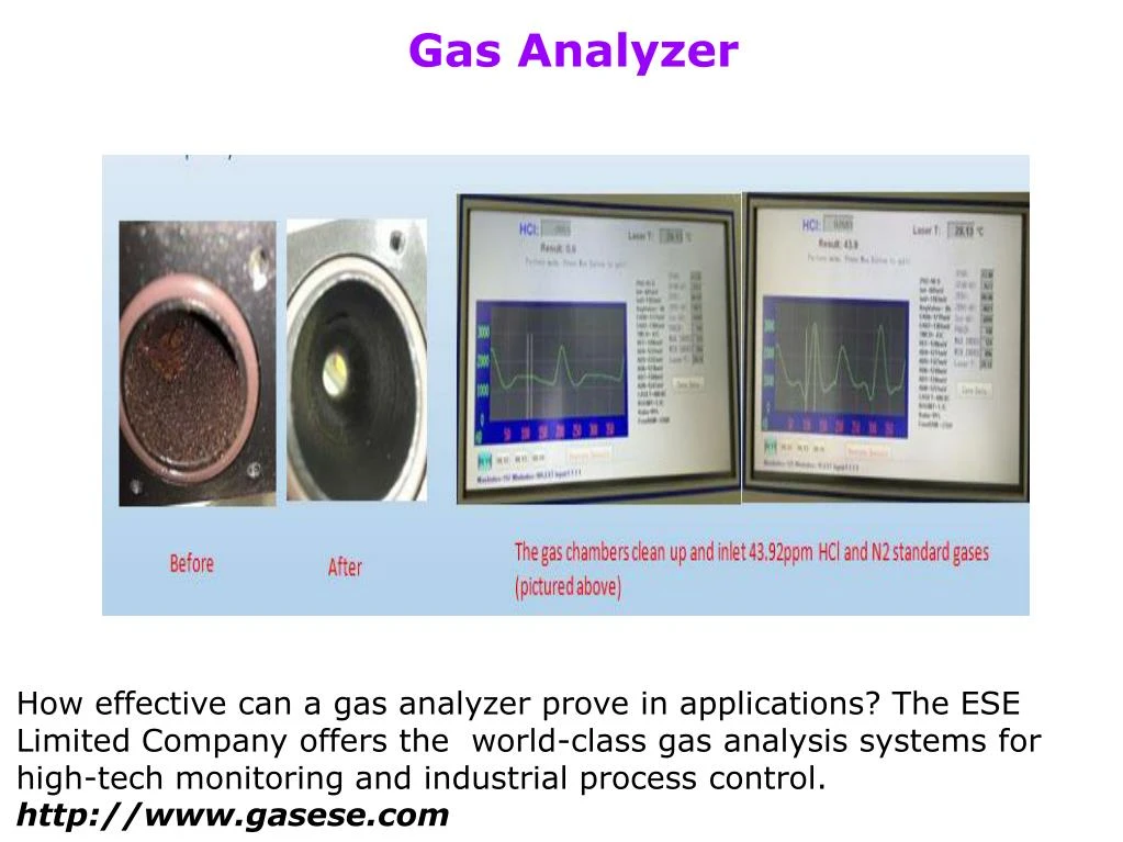 gas analyzer
