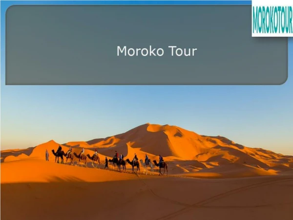 Contact Morokotour to enjoy Desert Excursions from Fez