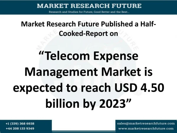 Telecom Expense Management Market forecasts and analysis to 2023
