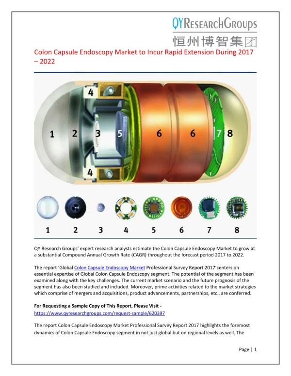 Global Colon Capsule Endoscopy Market Professional Survey Report 2017