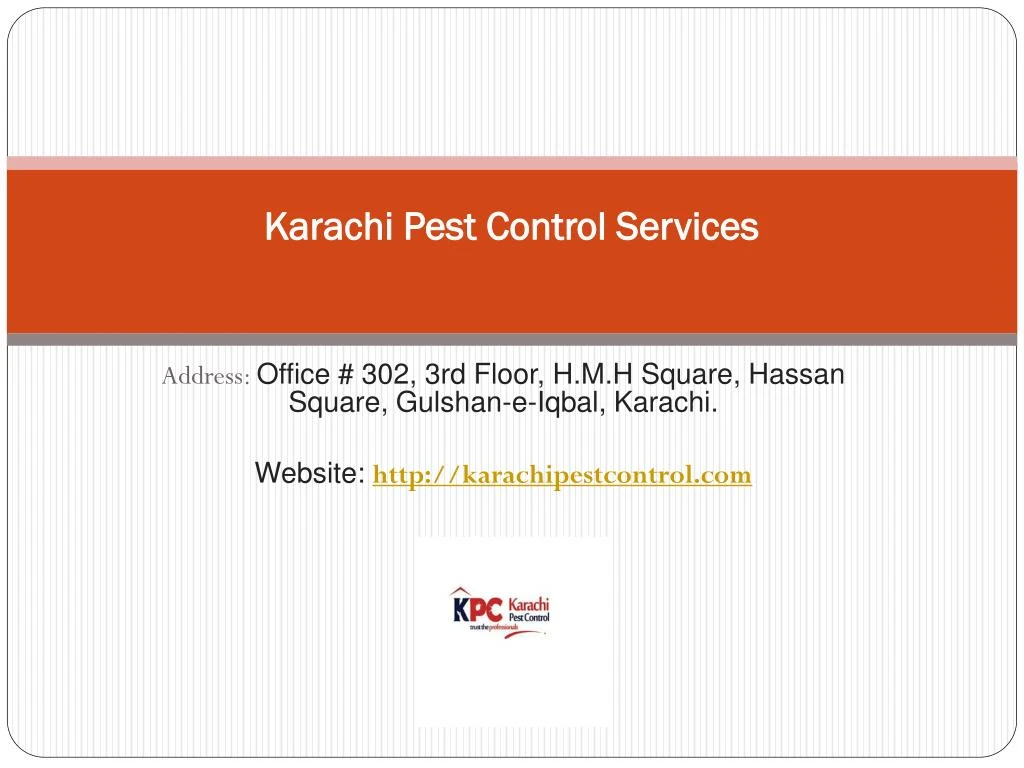 karachi pest control services