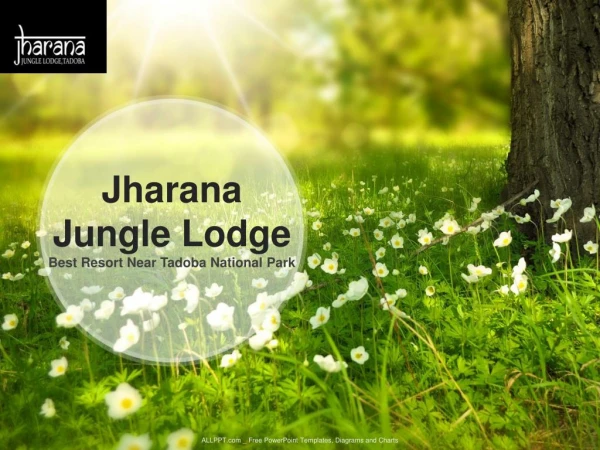 Best resort in tadoba for jungle safari booking: Jharan jungle lodge