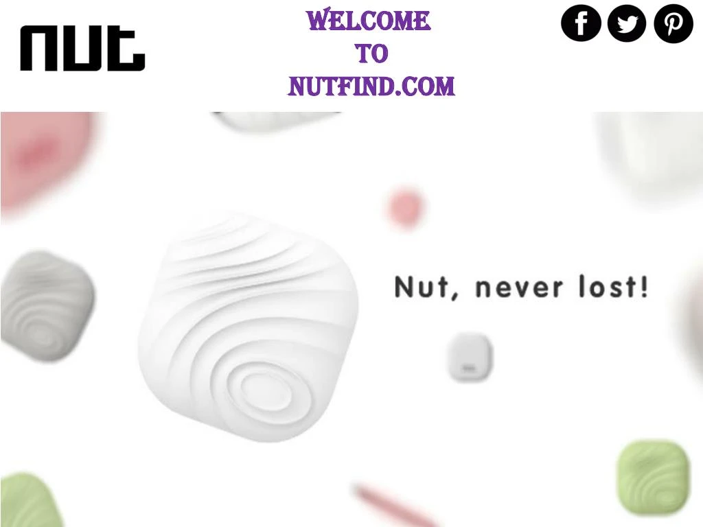 welcome to nutfind com