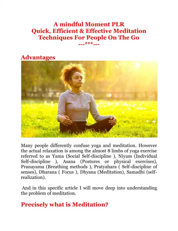 A Mindful Moment PLR - Quick, Efficient & Effective Meditation Techniques For People On The Go