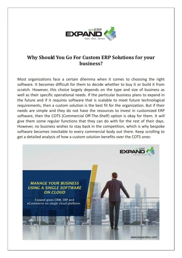 Why Should You Go For Custom ERP Solutions for your business?