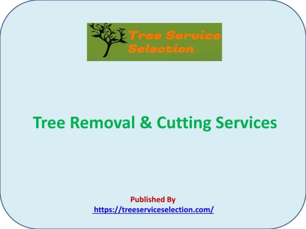 Tree Removal & Cutting Services