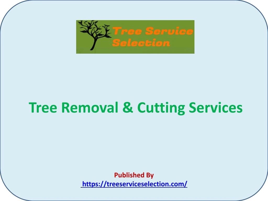 tree removal cutting services published by https treeserviceselection com
