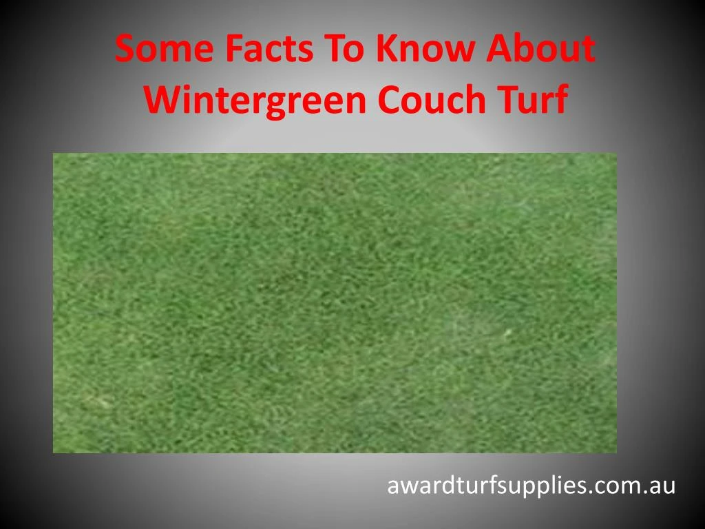 some facts to know about wintergreen couch turf