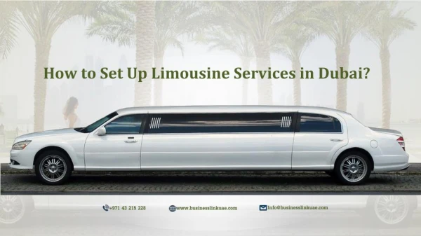 How to Set Up Limousine Business in Dubai?