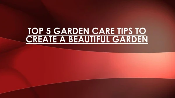 Top 5 Garden Care Tips to Create a Beautiful Garden