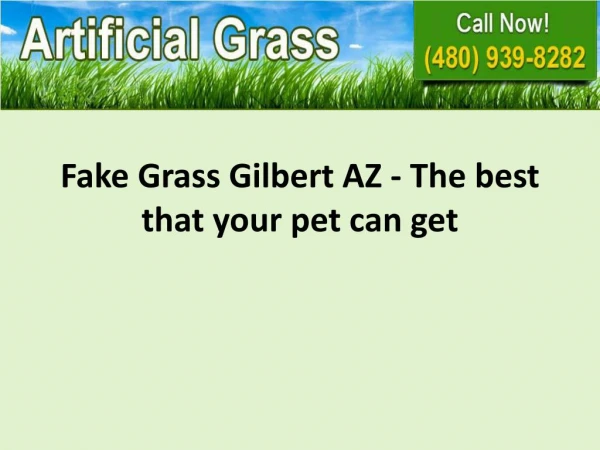 Fake Grass Gilbert AZ - The Best That Your Pet Can Get