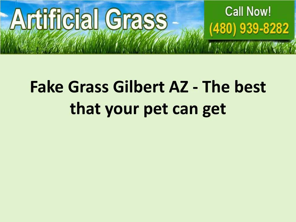 fake grass gilbert az the best that your pet can get
