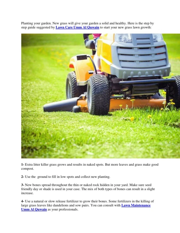 Step by step guide to improve the grass growth of your new lawn