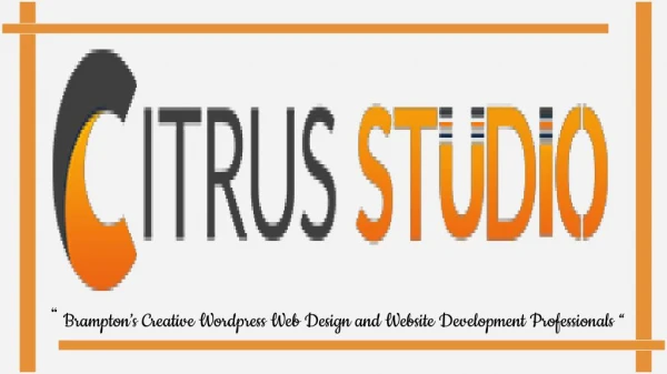 Mississauga's Creative Web Design & Development Agency
