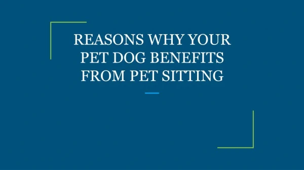 REASONS WHY YOUR PET DOG BENEFITS FROM PET SITTING