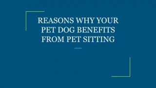 REASONS WHY YOUR PET DOG BENEFITS FROM PET SITTING
