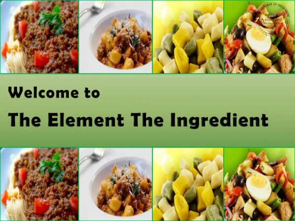 Healthy Gourmet Salads Manufacturer