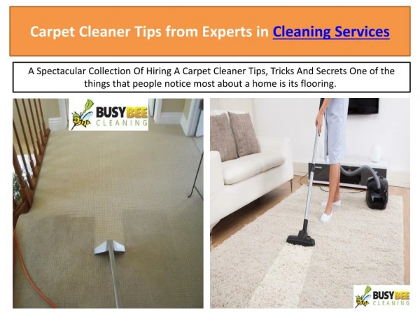 Carpet Cleaner Tips from Experts in Cleaning Services - bzbcleaning