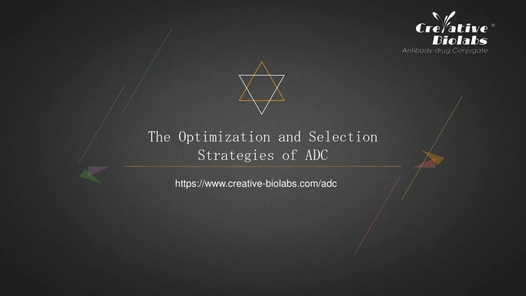the optimization and selection strategies of adc