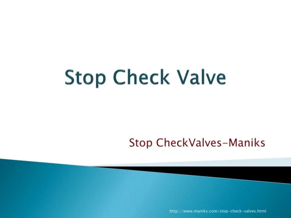 Top Quality Check Valves Manuafactured By Maniks