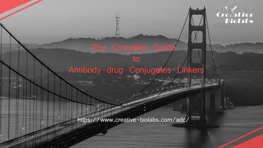 the complete guide to antibody drug conjugates