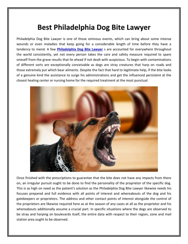 Best Philadelphia Dog Bite Lawyer