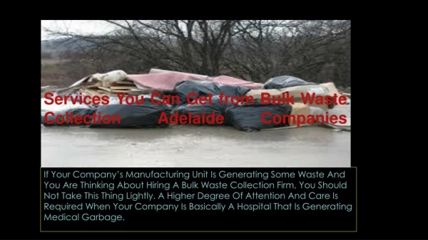 Services You Can Get from Bulk Waste Collection Adelaide Companies