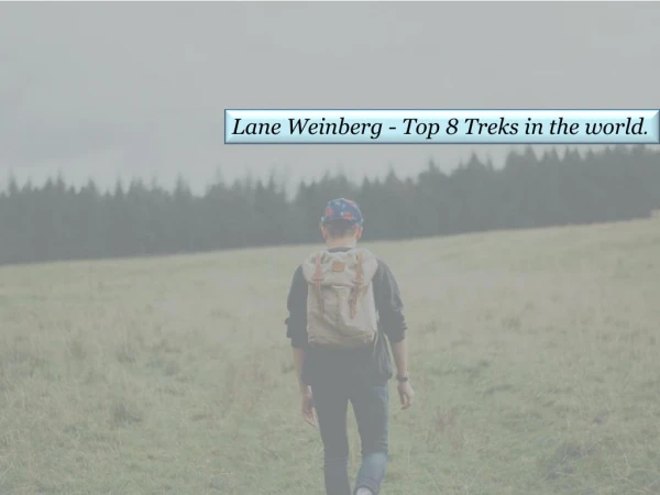 Lane Weinberg - Word's Top Treks