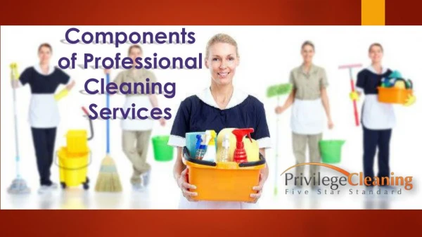 Components of Professional Cleaning Services