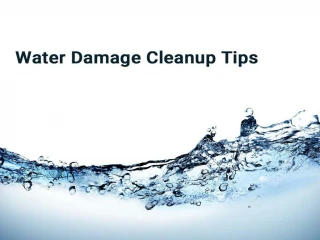 Water damage cleanup tips