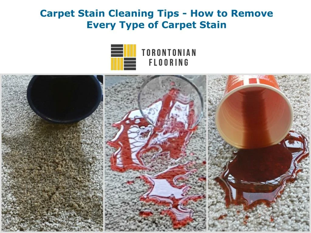 carpet stain cleaning tips how to remove every