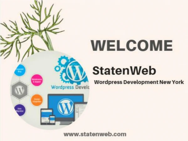 Wordpress Development New York