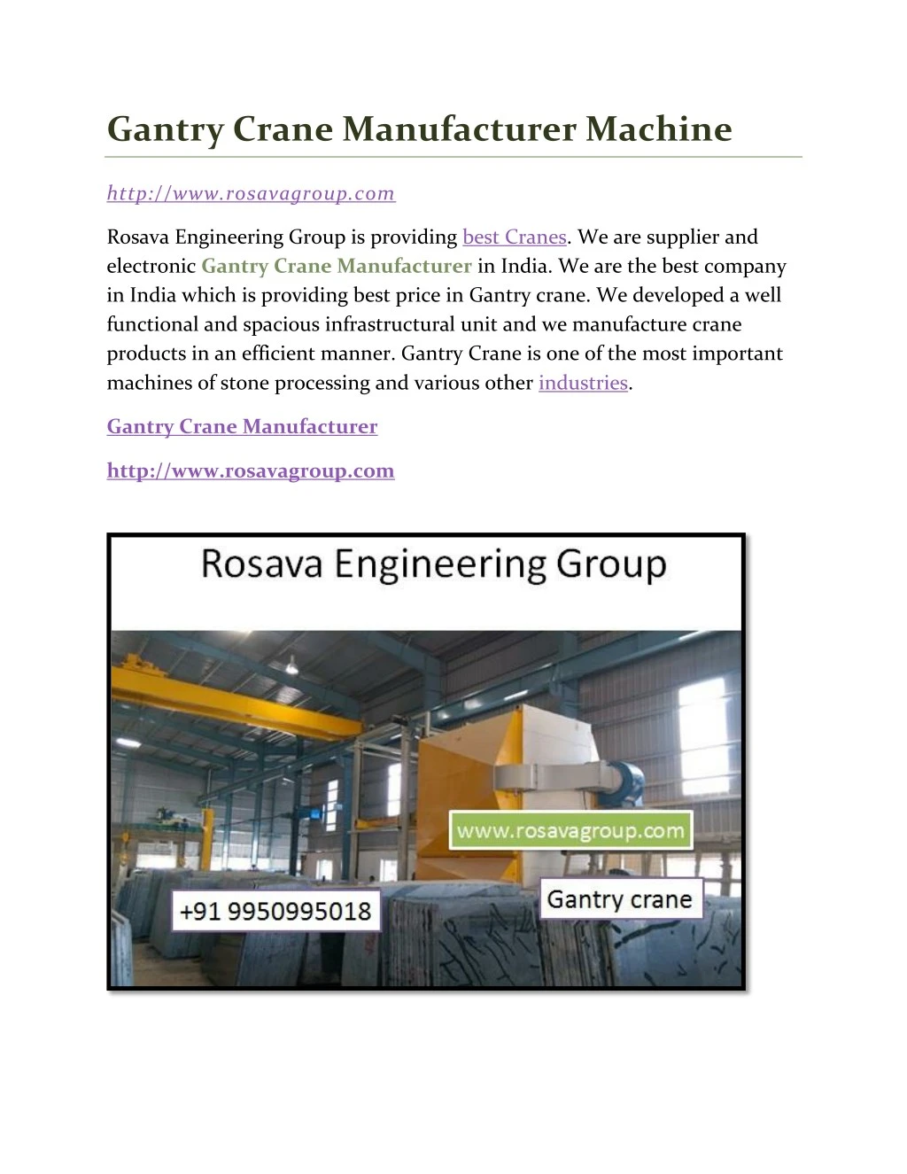 gantry crane manufacturer machine