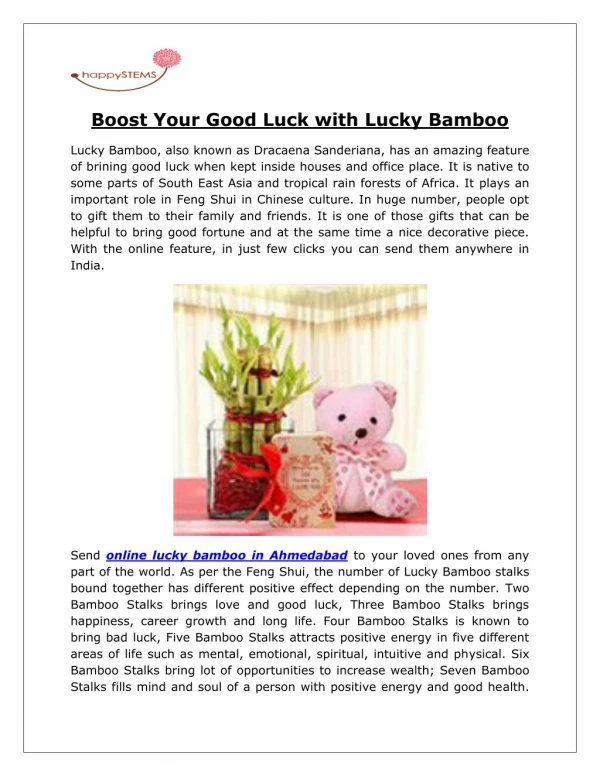 Buy Lucky Bamboo Online [happystems]